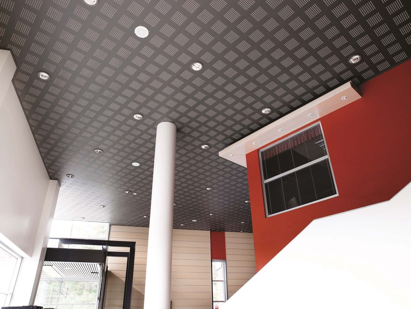 Gyptone™ 12mm Square Grid