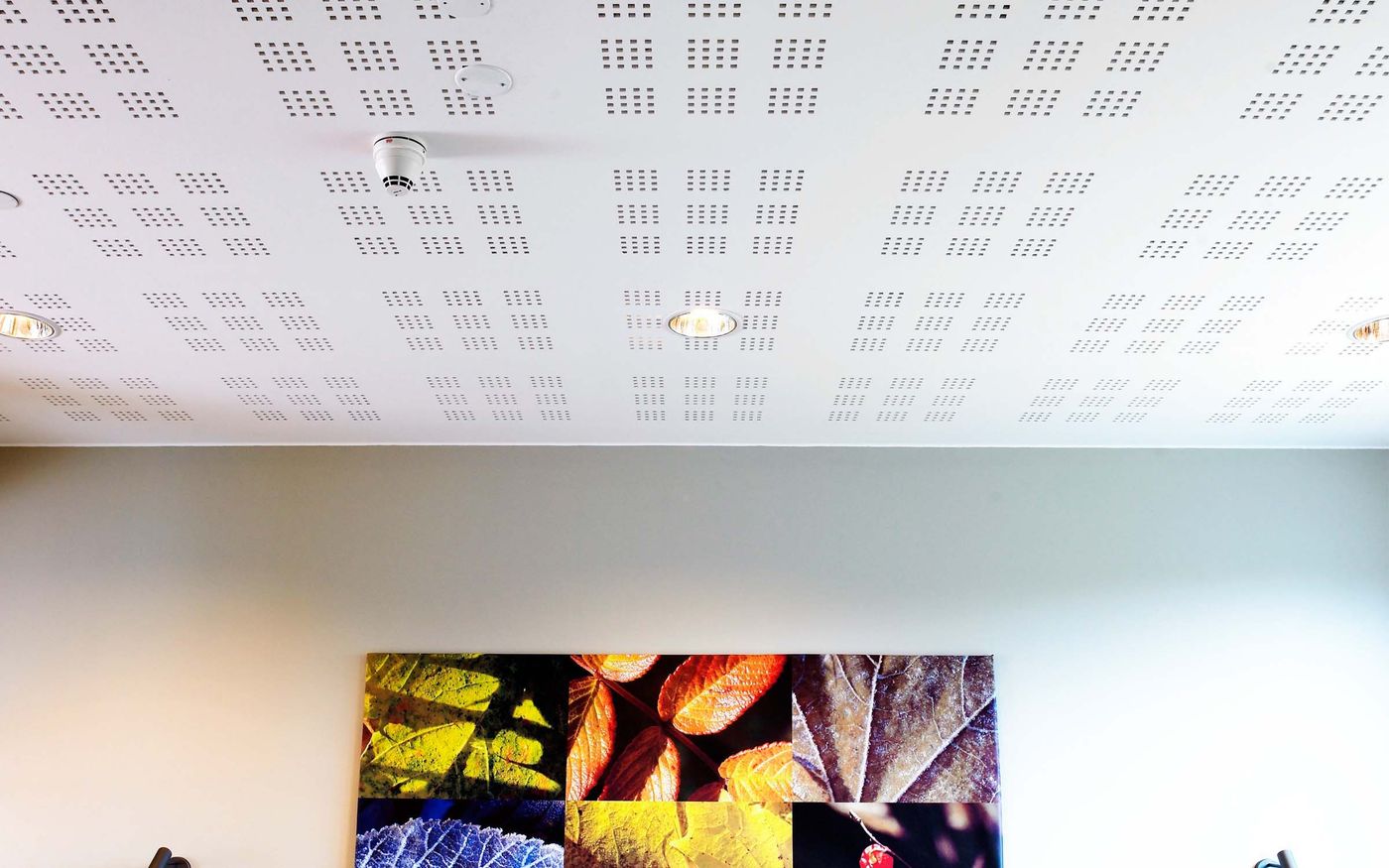 Gyptone ™ 12mm Square Minigrid